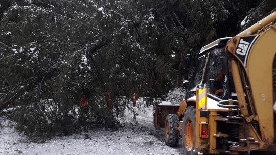Vântul puternic a afectat şi instalaţiile de energie electrică din mai multe judeţe