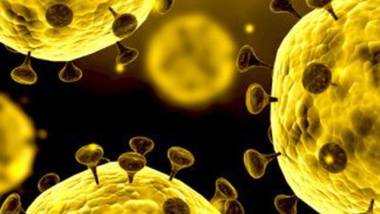 La Brașov nicio persoană nu este infectată cu coronavirus