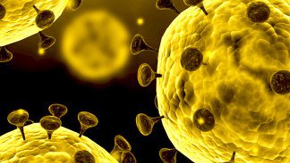 Coronavirus, confirmat la Braşov