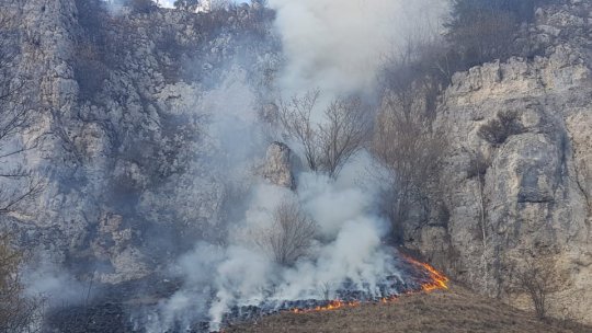 15 hectare de vegetație uscată au ars, în această după amiază
