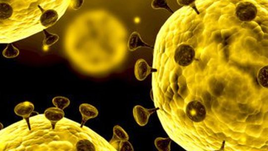 Numărul persoanelor infectate cu coronavirus în România a ajuns la 308