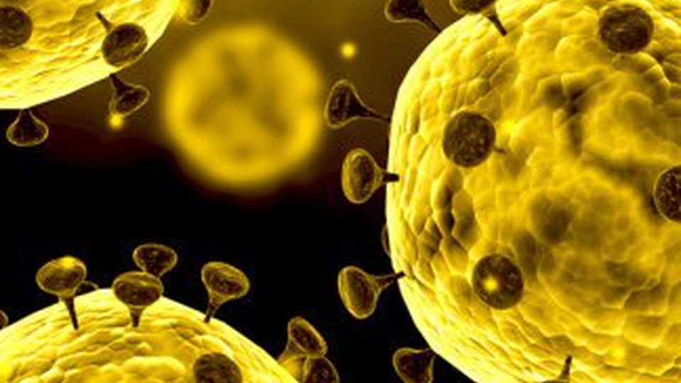 Numărul persoanelor infectate cu coronavirus în România a ajuns la 308