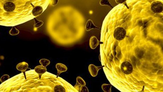 Numărul persoanelor infectate cu coronavirus în România a ajuns la 367