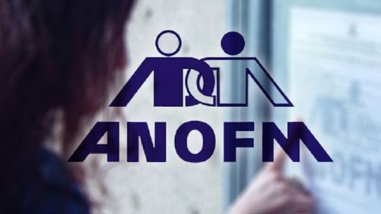 021.4444-000 " numărul pentru șomaj tehnic, la ANOFM