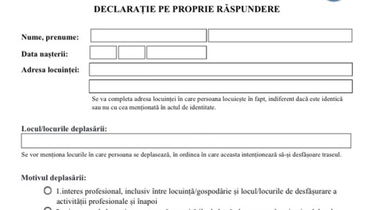 Declarația pe propria răspundere, model simplificat