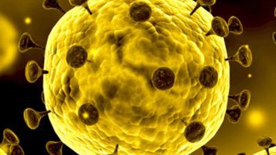 Numărul persoanelor infectate cu coronavirus în România a ajuns la 1.292