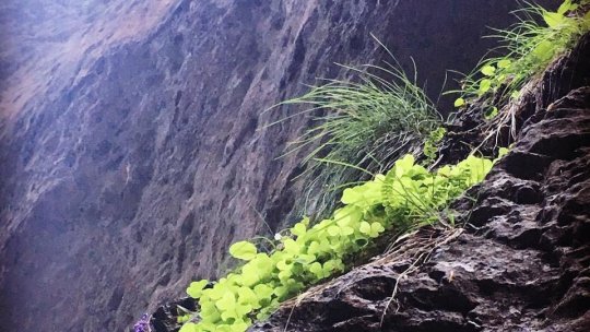 Iubitorii de drumeții suprinși pe munte, în această perioadă, riscă amenzi de până la 20.000 de lei