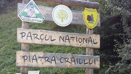 O nouă lege pentru protejarea pădurilor