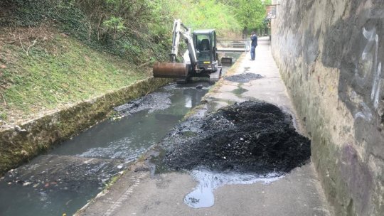 Se curăță pârâul Graft