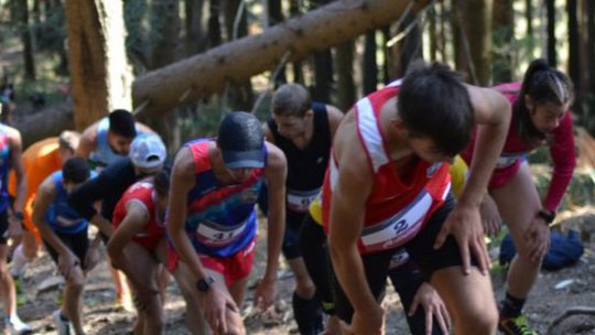 Federația Română de Atletism ia în calcul reluarea campionatelor la finalul lunii iulie