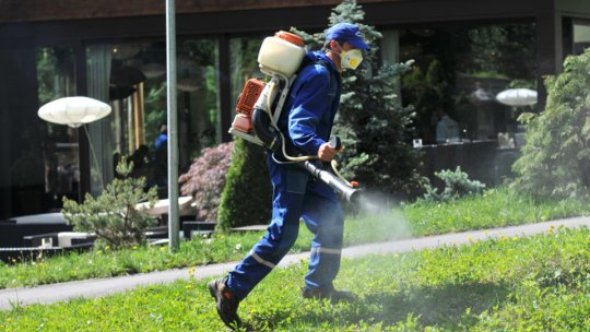 Începe deratizarea pe domeniul public