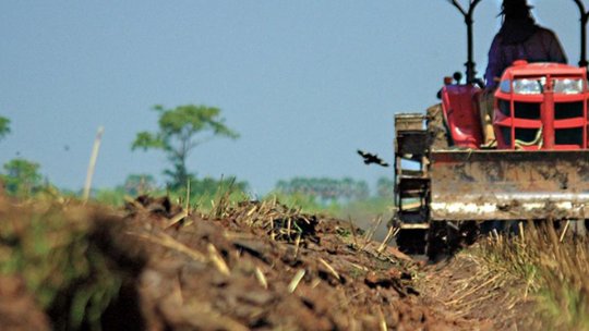 Cereri online, la APIA
