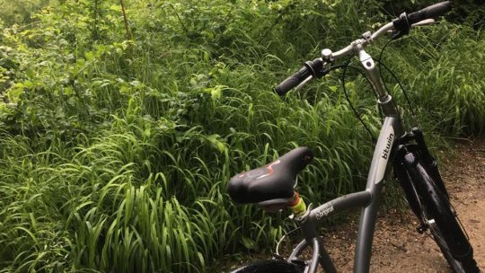 Mare atenţie la hoţii de biciclete!