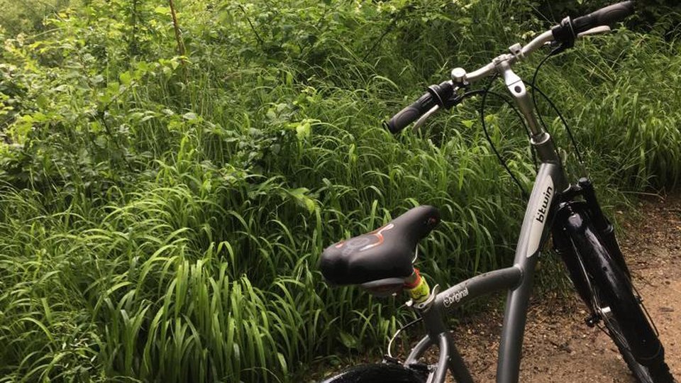 Mare atenţie la hoţii de biciclete!