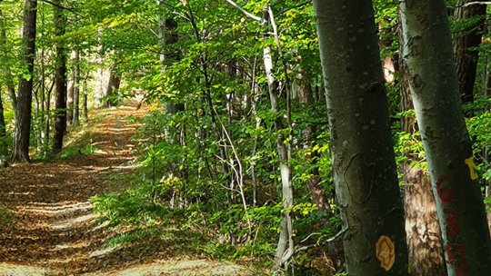 Curtea de Apel a decis: proiectul Drumului Gorița rămâne suspendat