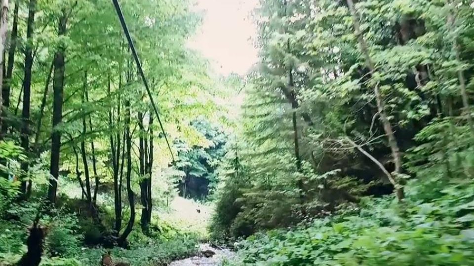 Canionul 7 Scări și Tiroliana, închise până la noi ordine