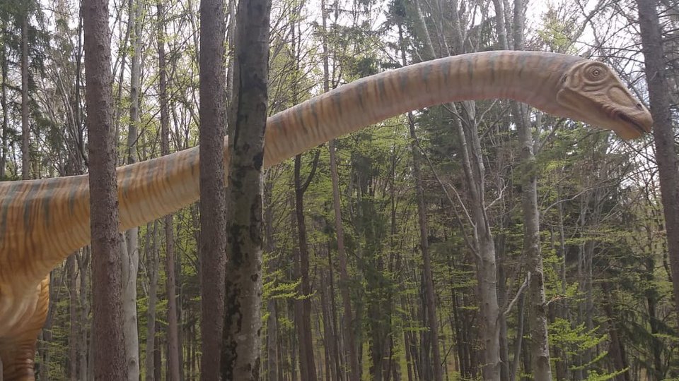 Se deschide Dino Parc Râșnov, de vineri