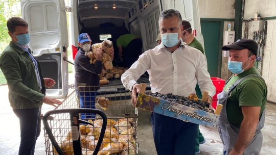 Adrian Veștea s-a alăturat campaniei "Hrănește un urs"