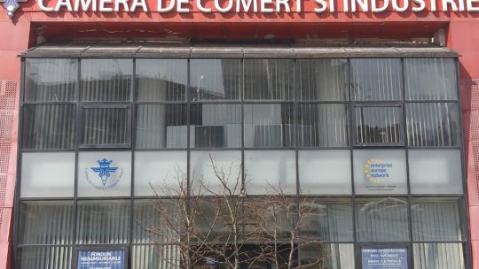 Managementul performanței în criză