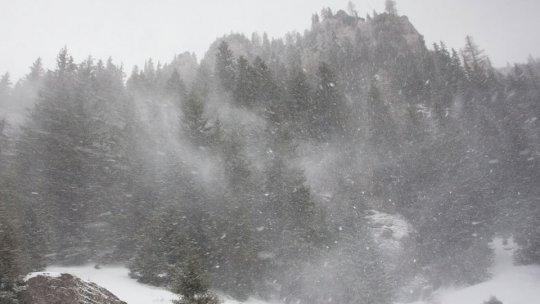 Cod portocaliu de viscol şi ninsori în zonele montane, din această noapte