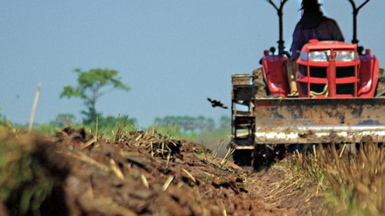 Criza provocată de coronavirus şi seceta ar putea afecta preţul produselor alimentare, potrivit ministrului Agriculturii