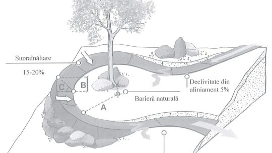Amenajarea bike-park-ului din Postăvarul și cele 2 piste de biciclete din oraș, scoase la licitație