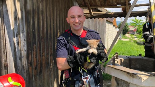 Pisică salvată de pompierii brașoveni după ce a căzut într-o fântână