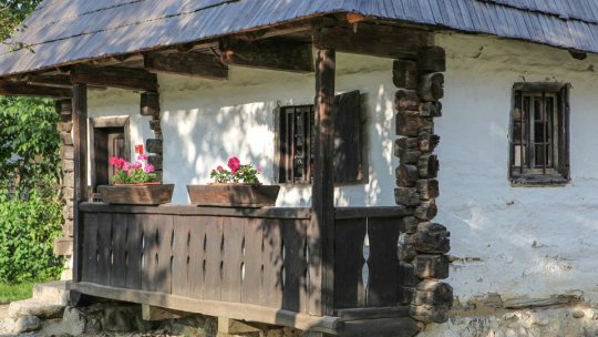 Executare silită pentru Muzeul Satului Brănean