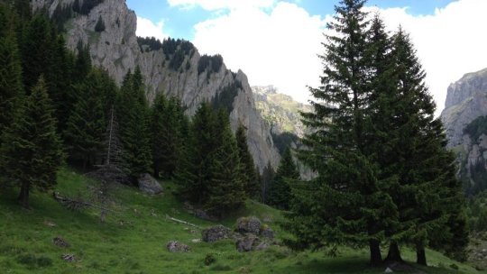 Clipurile de promovare a Brașovului, apreciate de aleșii locali