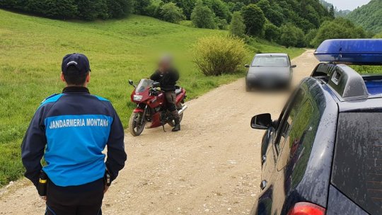 16 intervenții ale jandarmilor brașoveni pentru gonirea animalelor sălbatice spre pădure