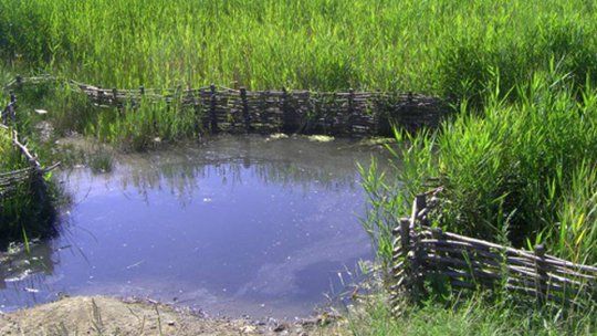 Băile Perșani - Litoralul de la munte