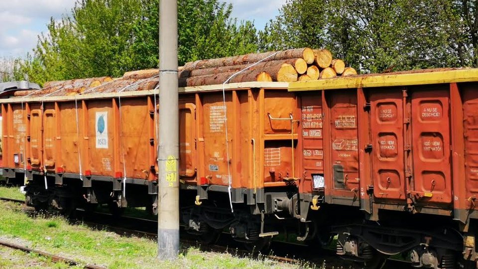 27 de vagoane pline cu lemne aduse din Cehia au fost confiscate de Garda Forestieră Brașov