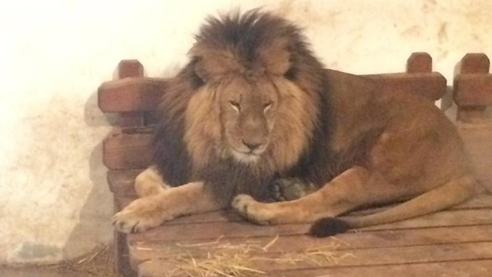 Grădina Zoologică trece la programul de iarnă