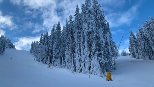 Amenajarea zonei inferioare a pârtiei Lupului, în plină desfășurare