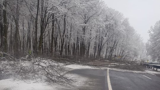 Trafic oprit temporar pe DN1