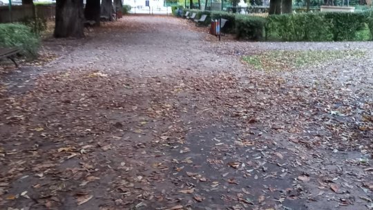 Lasă-mi, toamnă, pomii verzi...