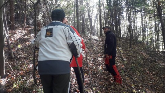 Incident la cules de ciuperci… necomestibile, în Piatra Mare