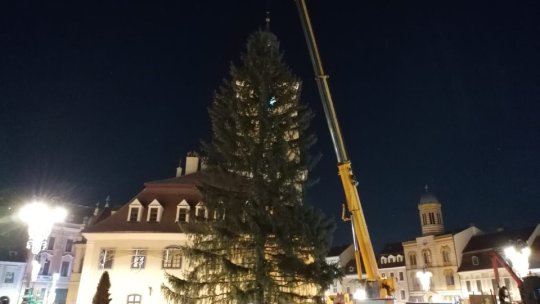 Bradul de Crăciun, adus în centrul orașului în această seară