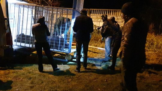 Sanctuarul Libearty este casă pentru încă o familie de ursuleți