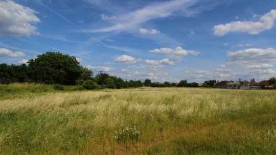 Administrațiile locale care nu gestionează corect pajiștile, prin amenajamente pastorale, ar putea pierde subvențiile APIA