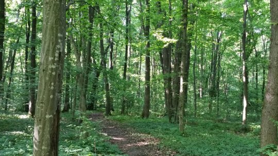 Nu folosiți sisteme GPS dedicate autovehiculelor pe traseele de munte