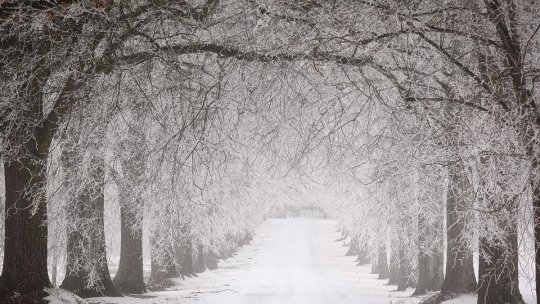 Informare de ploi, ninsori şi viscol, până luni dimineaţa, în întreaga ţară