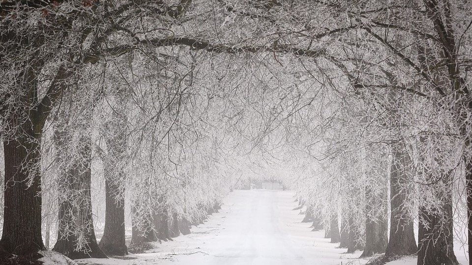 Informare de ploi, ninsori şi viscol, până luni dimineaţa, în întreaga ţară