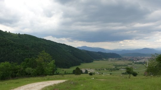 Educația pentru mediu va fi materie introdusă în programa școlară de anul viitor