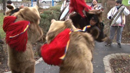 Cu ursu', pe ritmuri americane