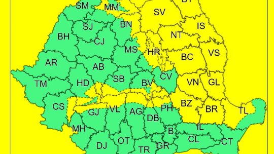 Cod galben de ninsori în sudul județului, până marți dimineața