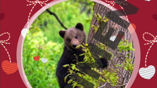 Mărțișor cu suflet de la Milioane de Prieteni