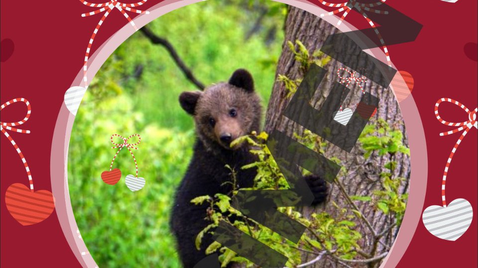 Mărțișor cu suflet de la Milioane de Prieteni