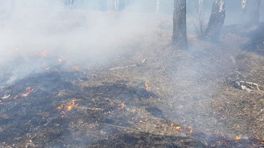 Atenție la pericolul arderilor necontrolate de miriști!