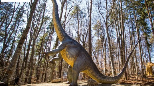 Călător pe unde și oriunde " Ediția 72. Faceți cunoștință cu Diplodocus, dinozaurul înalt de 11 metri!